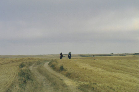 cloudy-morning.jpg