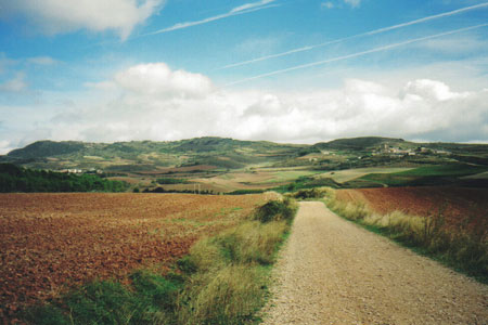road.jpg